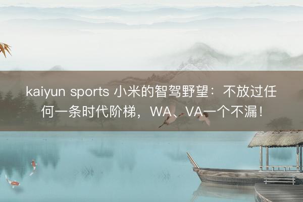 kaiyun sports 小米的智驾野望：不放过任何一条时代阶梯，WA、VA一个不漏！