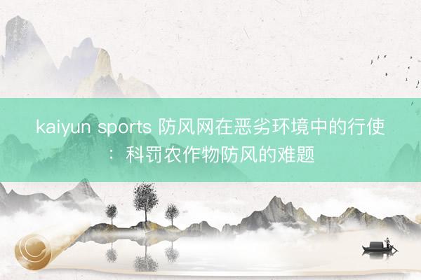 kaiyun sports 防风网在恶劣环境中的行使:科罚农作物防风的难题