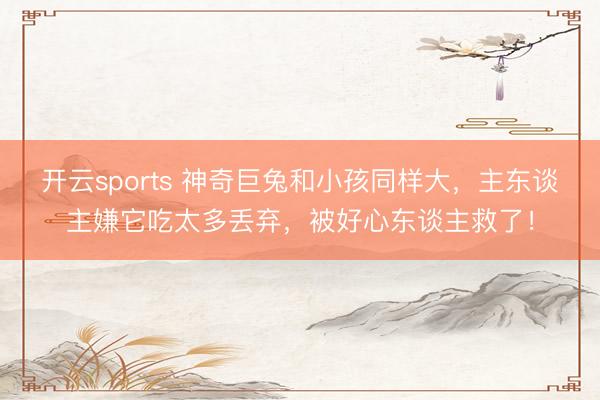 开云sports 神奇巨兔和小孩同样大，主东谈主嫌它吃太多丢弃，被好心东谈主救了！