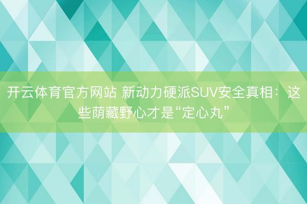 开云体育官方网站 新动力硬派SUV安全真相：这些荫藏野心才是“定心丸”